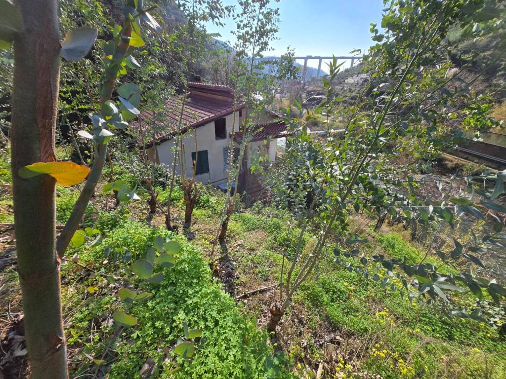 Villa a Taggia in SP548 - Foto 4