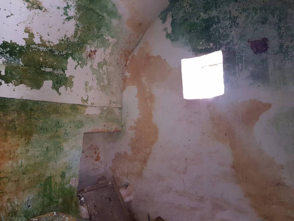 Rustico / casale a Ceglie messapica - Foto 2