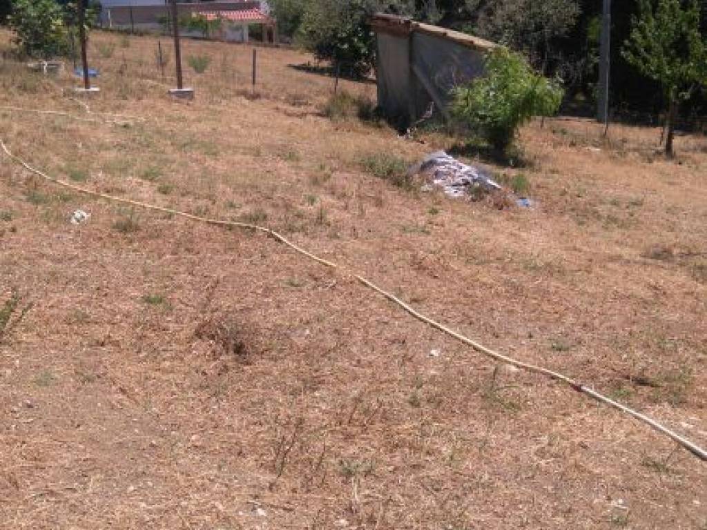 Terreno a Collecorvino - Foto 3