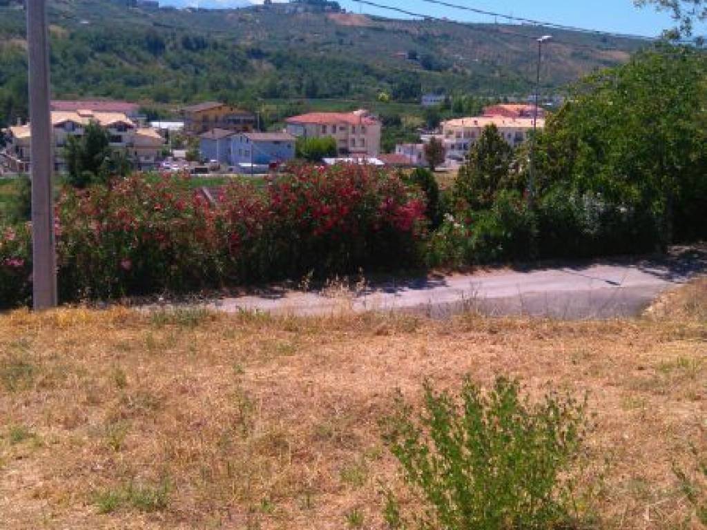 Terreno a Collecorvino - Foto 4