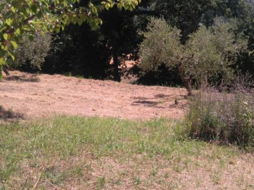 Terreno a Collecorvino - Foto 5