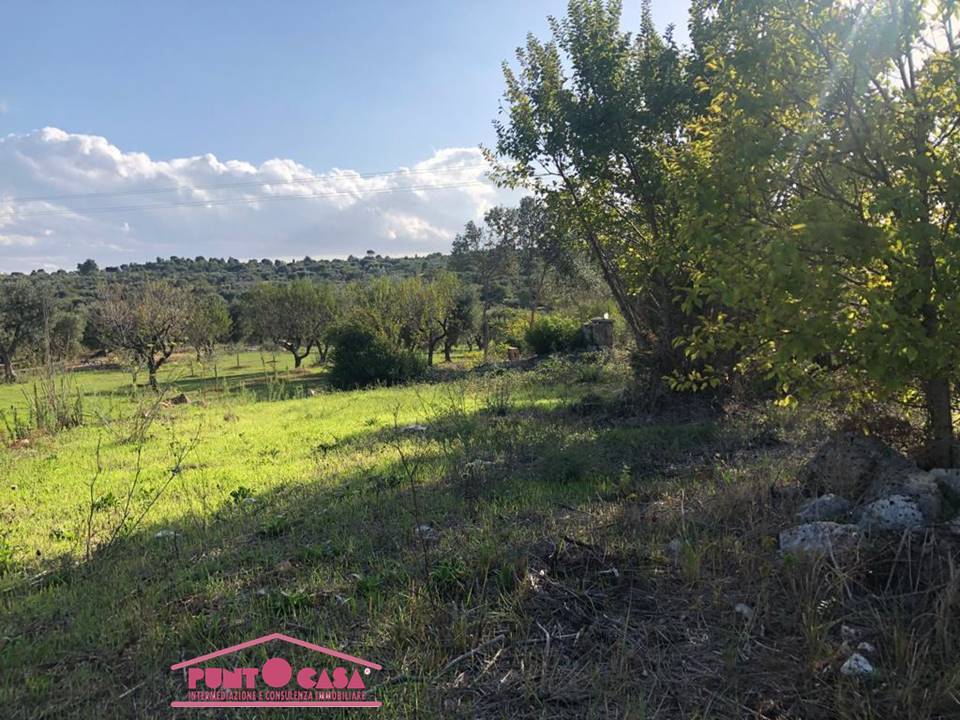 Rustico / casale a Ostuni in Ostuni (BR) - Foto 5