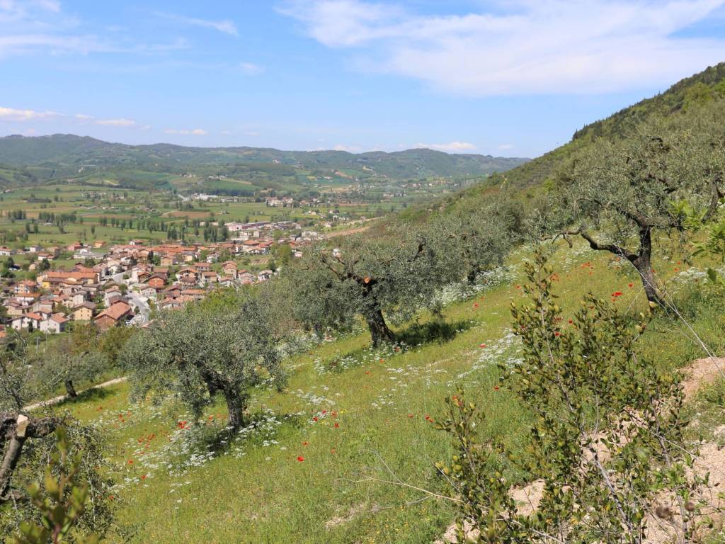 Terreno a Gubbio in Località Casamorcia - Foto 2