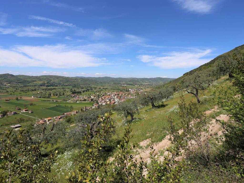 Terreno a Gubbio in Località Casamorcia - Foto 3