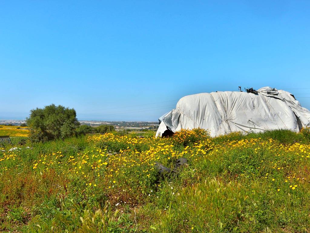 Rustico / casale a Ragusa in Via Mar Egeo, 1 - Foto 4