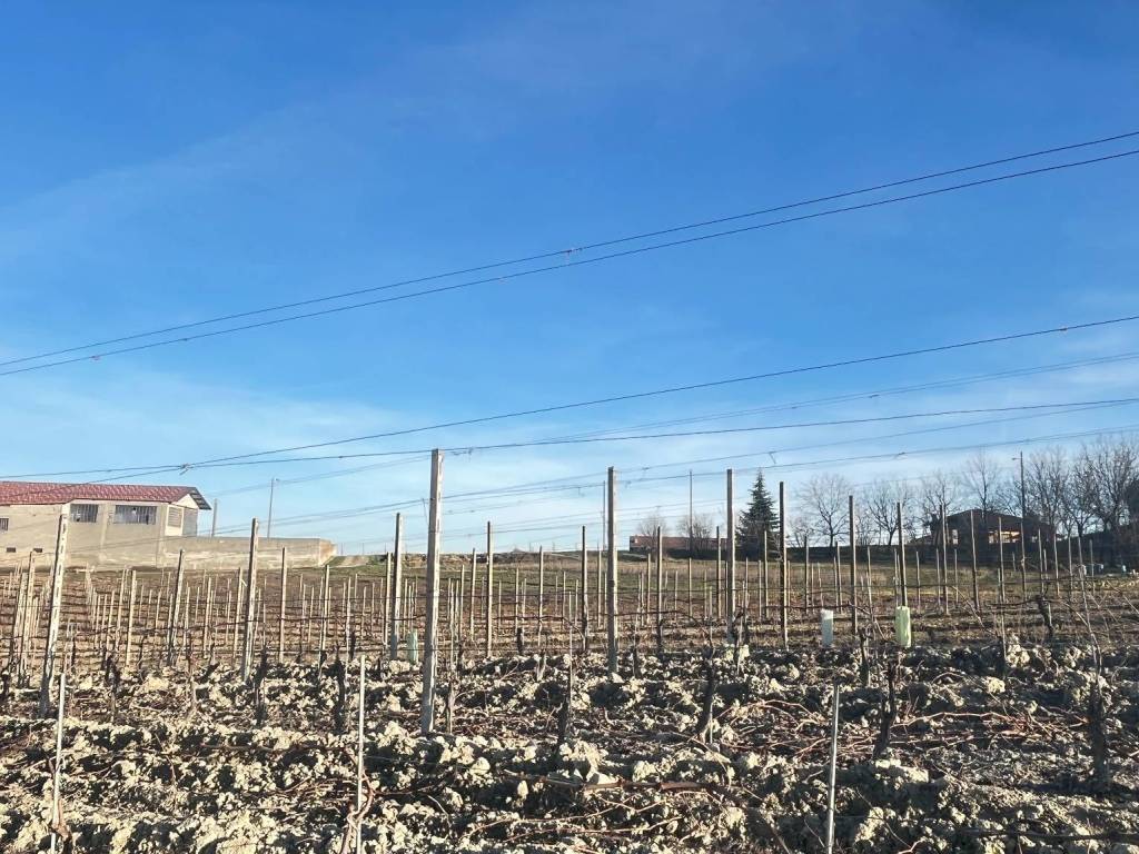 Terreno a Priocca in Strada San Vittore - Foto 3