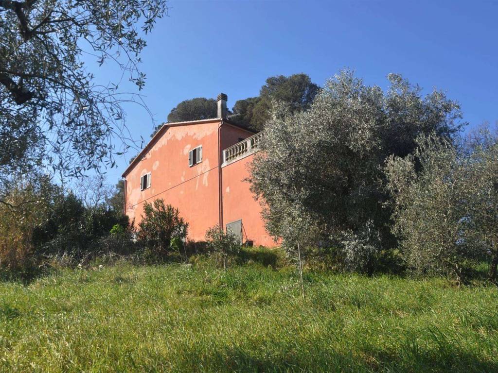 Rustico / casale a Rosignano marittimo in Via Traversa Livornese - Foto 4