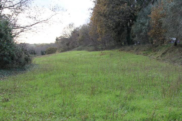 Rustico / casale a Pesaro - Foto 2