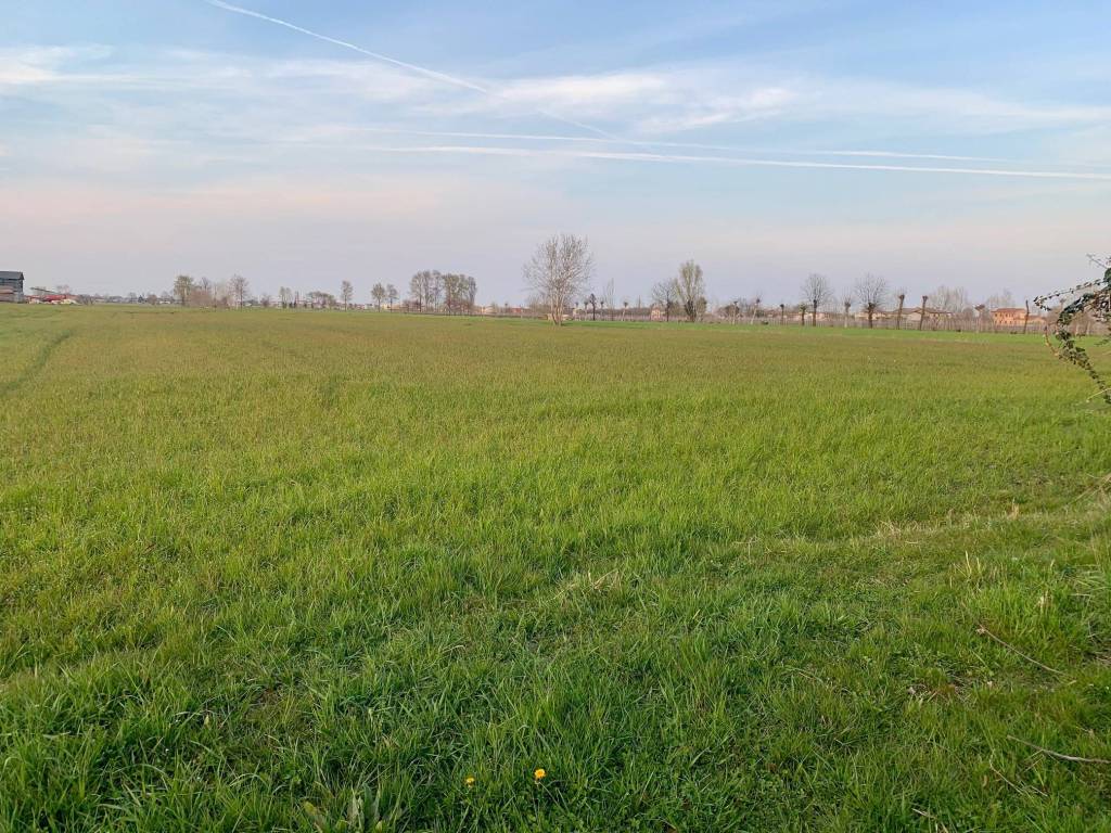 Terreno a Curtarolo in Via Roma - Foto 2