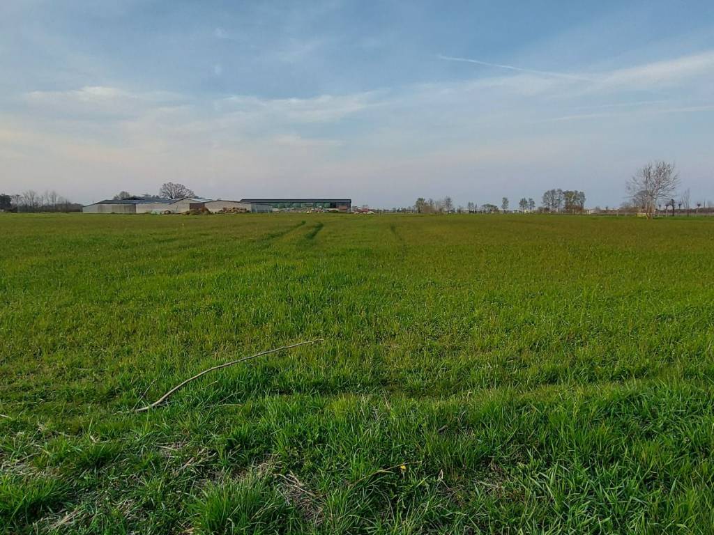 Terreno a Curtarolo in Via Roma - Foto 3