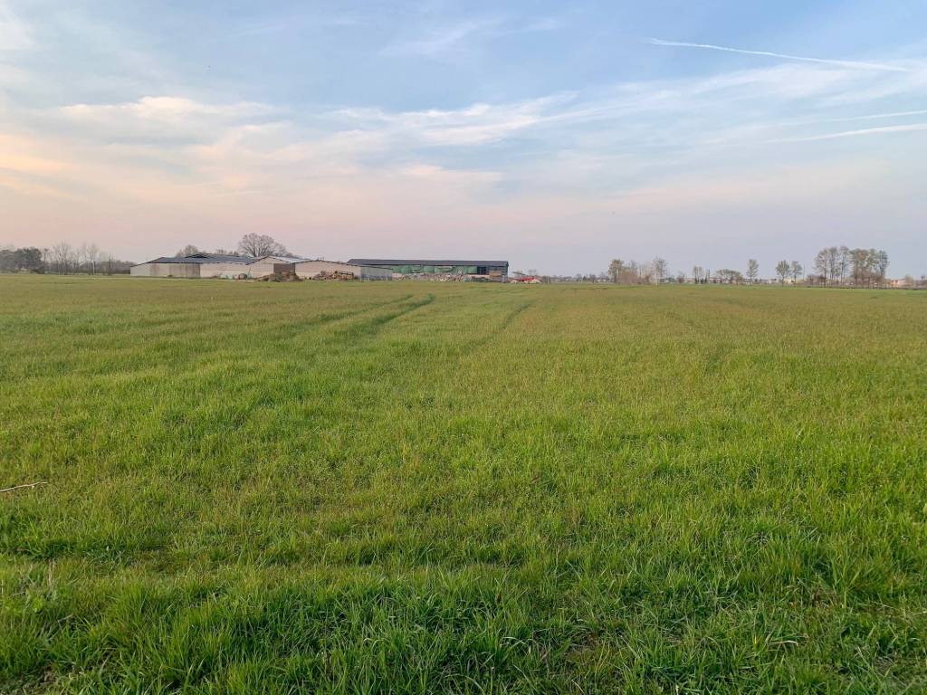 Terreno a Curtarolo in Via Roma - Foto 4