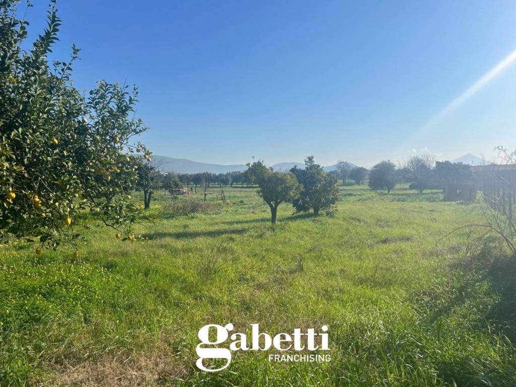 Terreno a Pignataro maggiore in Via Vittorio Veneto - Foto 3