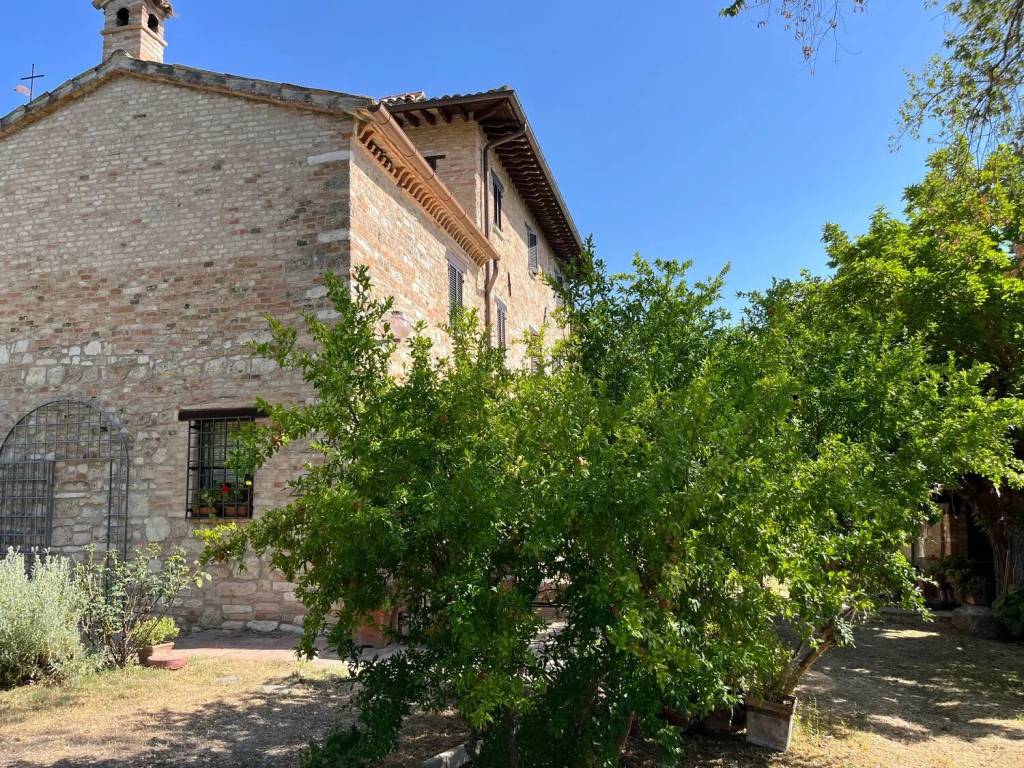 Rustico / casale a Urbino in Località Montepolo - Foto 2