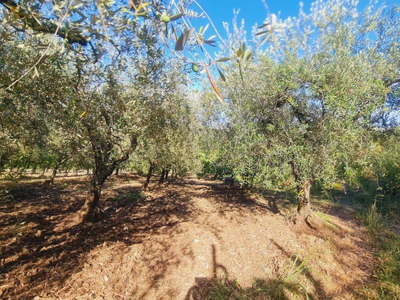 Terreno a Montecorvino pugliano in Via San Matteo - Foto 5