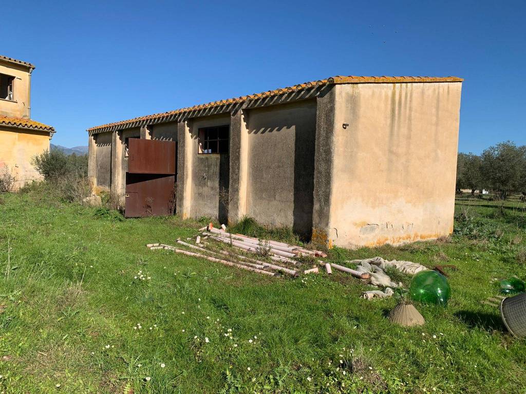 Villa a Villamassargia - Foto 3