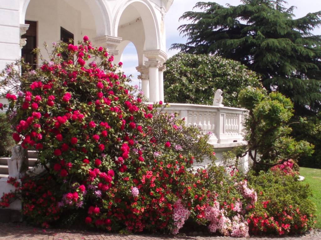 Villa a Biella in Piazza Martiri della Libertà - Foto 2