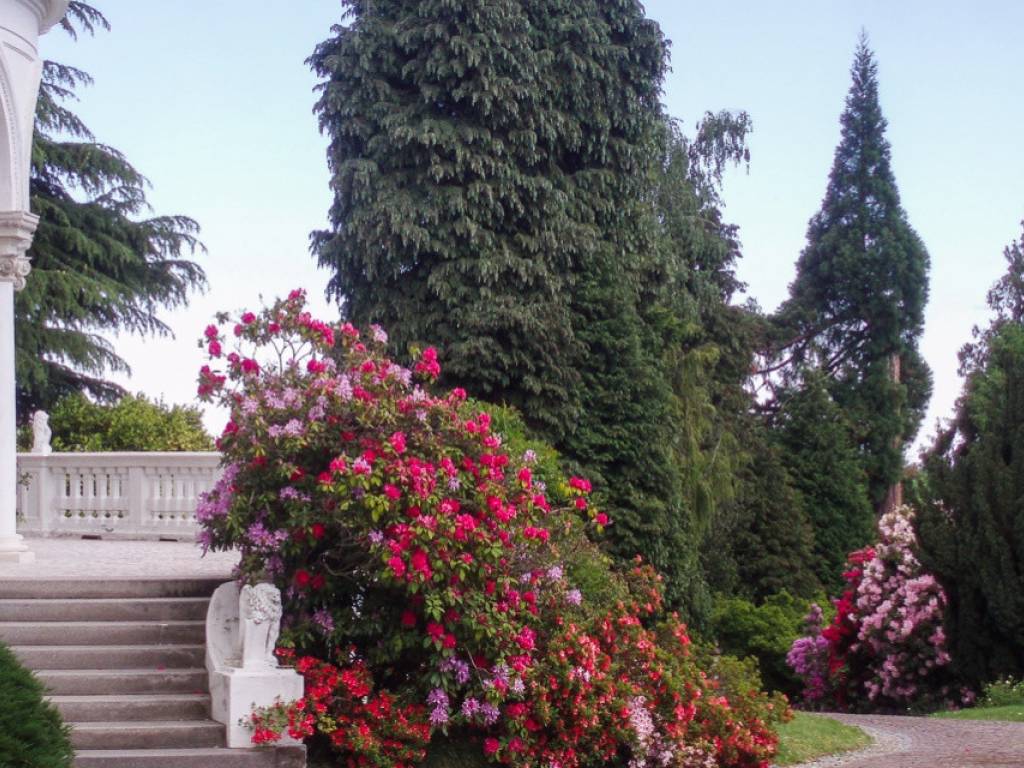 Villa a Biella in Piazza Martiri della Libertà - Foto 3