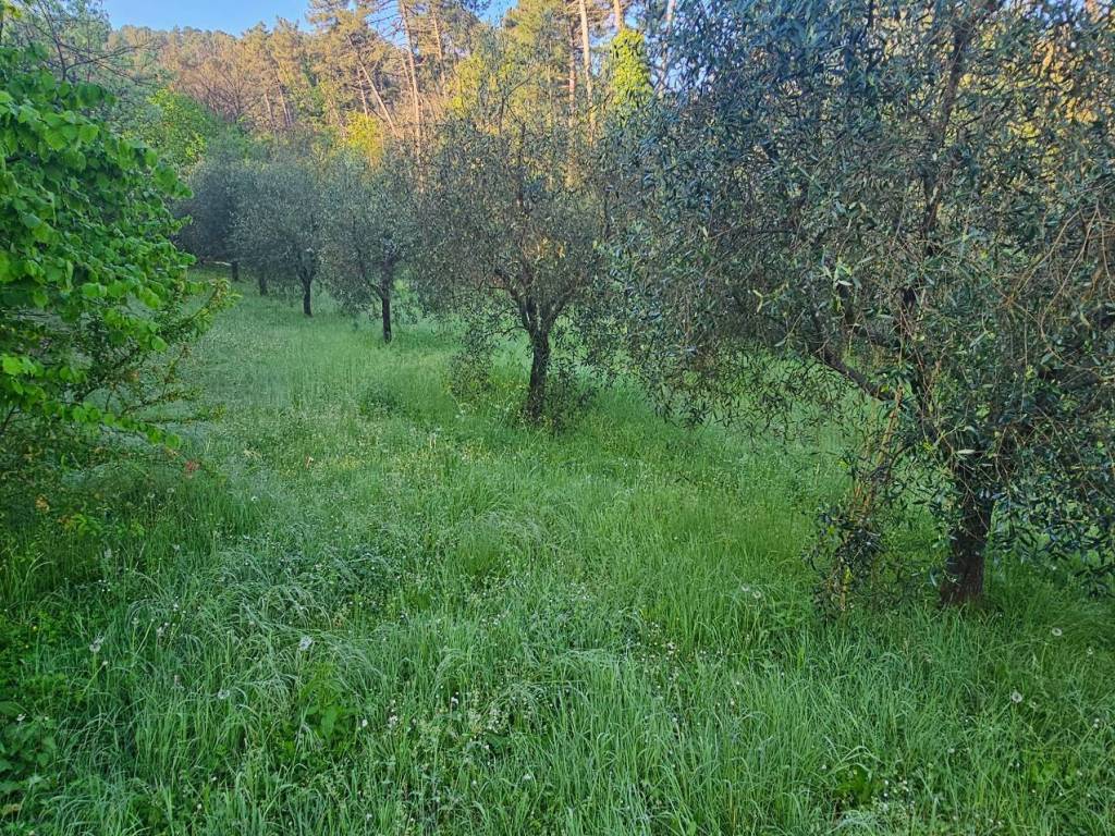 Villa a Capannori in Via dei Sodini - Foto 5