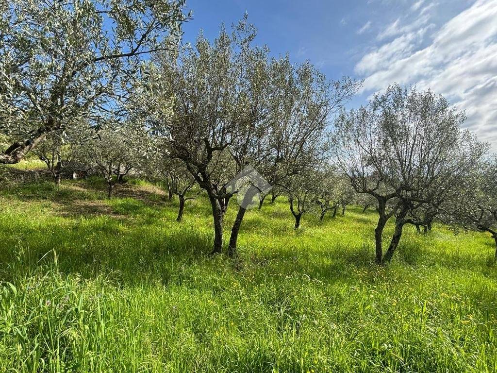 Terreno a Quarrata in Via delle Poggiole - Foto 2