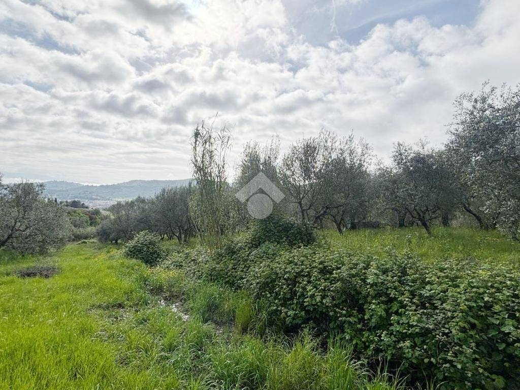 Terreno a Quarrata in Via delle Poggiole - Foto 3