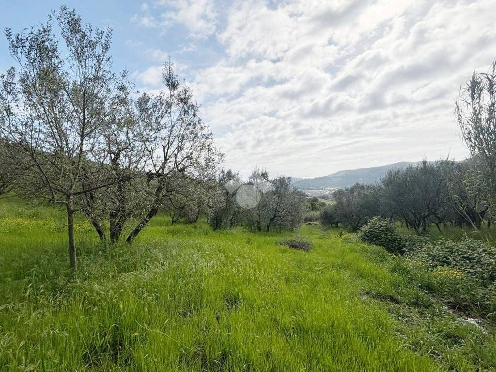 Terreno a Quarrata in Via delle Poggiole - Foto 5