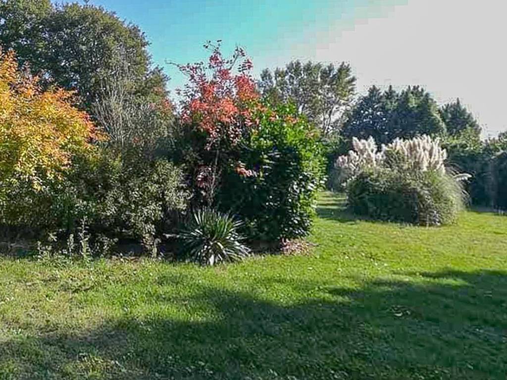 Immobile a Orvieto in Località Biagio, 30 - Foto 5