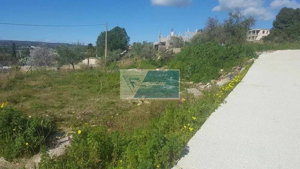 Terreno a Noto in contrada San Corrado - Foto 3