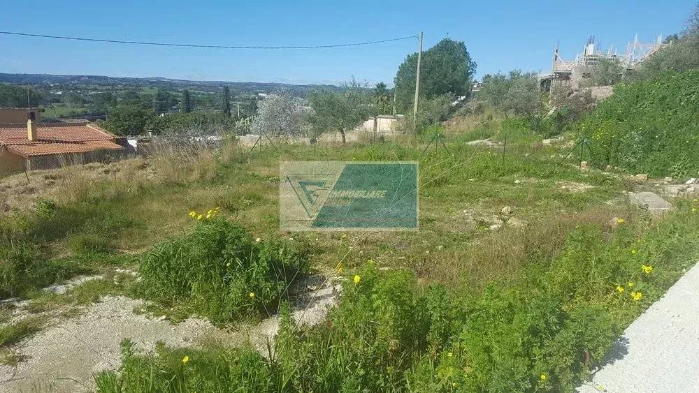 Terreno a Noto in contrada San Corrado - Foto 4