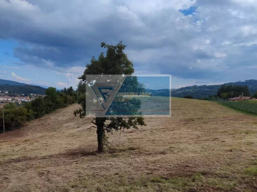 Terreno a Pratovecchio e stia - Foto 5