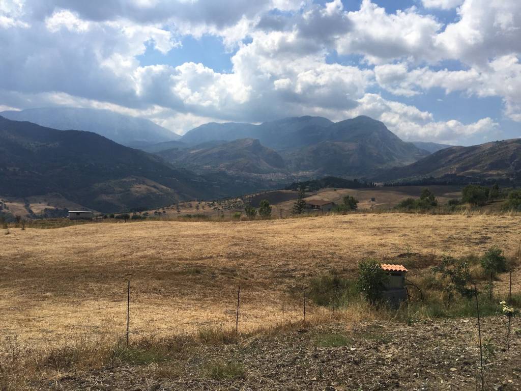 Terreno a Collesano in Strada Provinciale delle Madonie - Foto 2