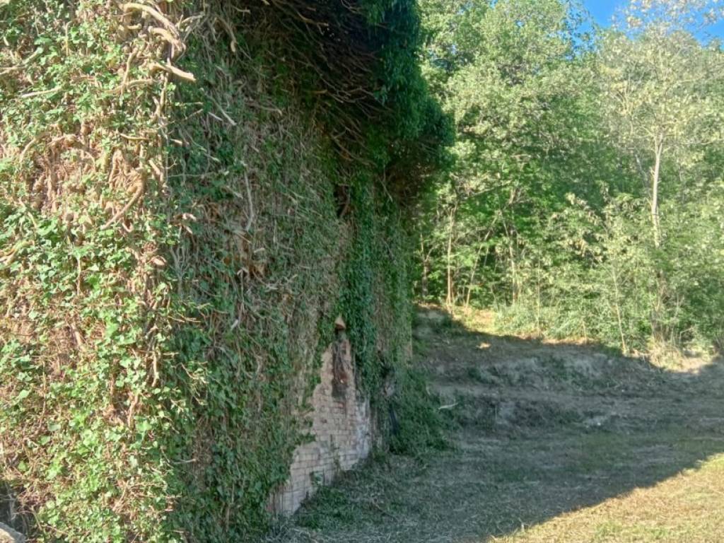 Rustico / casale a Sassoferrato - Foto 2