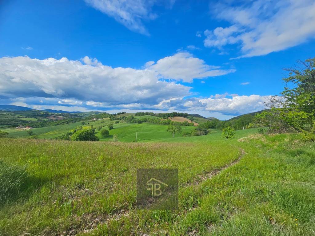 Rustico / casale a Sassoferrato - Foto 3