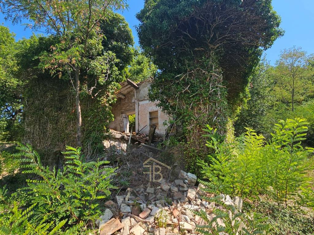 Rustico / casale a Sassoferrato - Foto 4