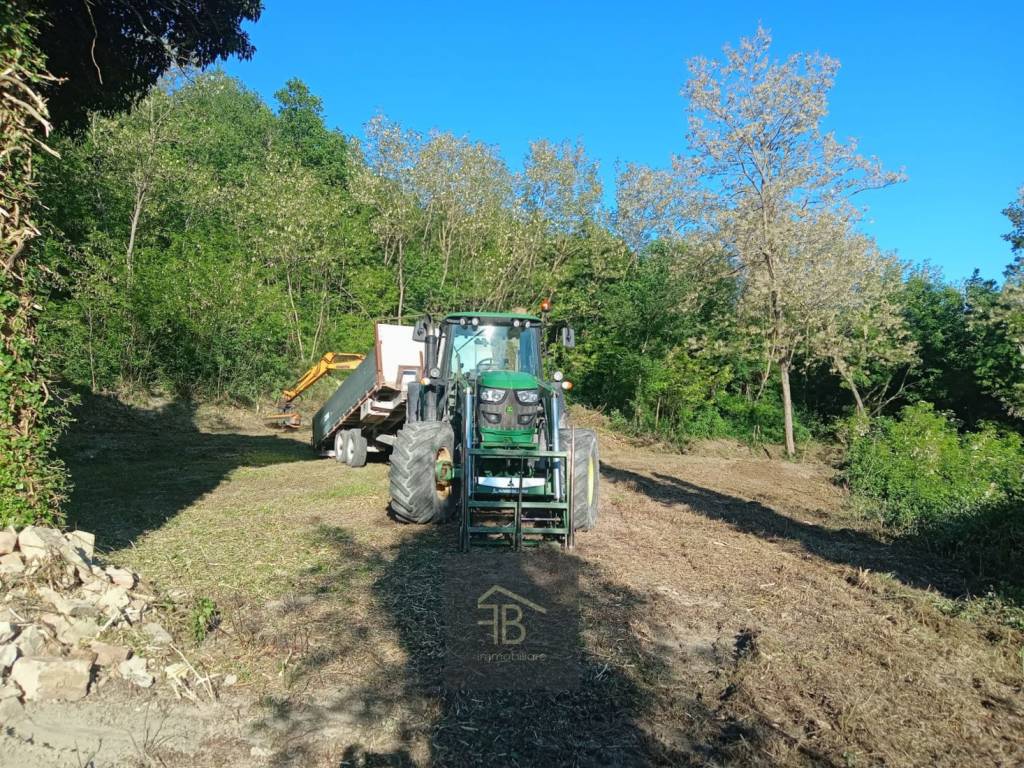 Rustico / casale a Sassoferrato - Foto 5